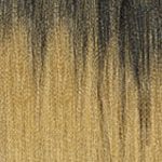 1b Ombre 27 +$18.0