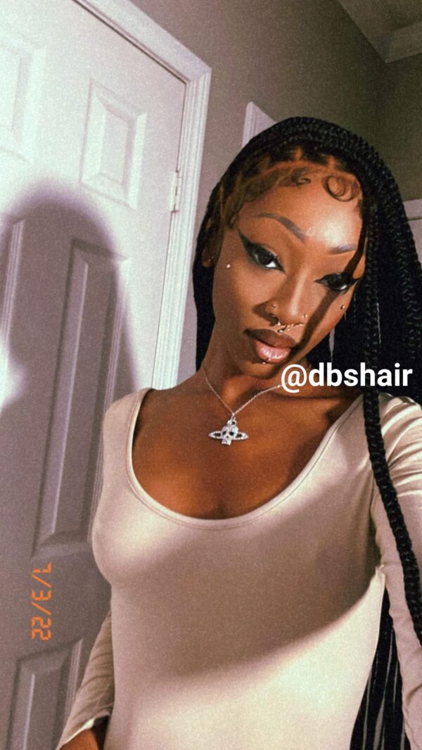Lisa Knotless Braids - Image 2